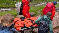 Labrador rescued after ‘eating discarded cannabis’ on Ben Nevis hike