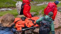 Labrador rescued after ‘eating discarded cannabis’ on Ben Nevis hike