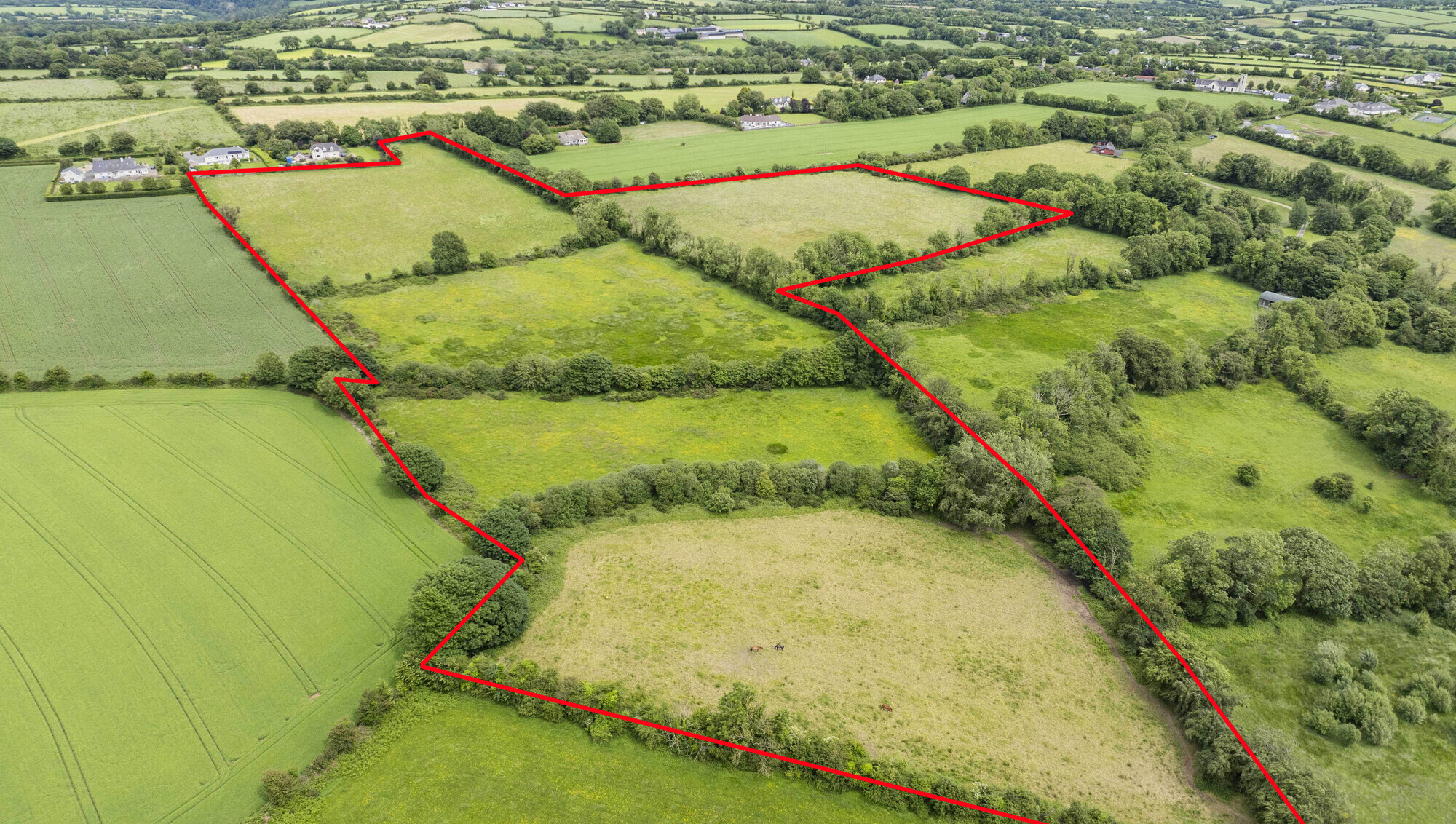 26 Acre Kilkenny holding for auction guiding €15,000/acre