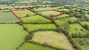 <p>The 26-acre farm is lovated in Raheenduff, The Rower</p> <p>The 26-acre farm is lovated in Raheenduff, The Rower</p>
