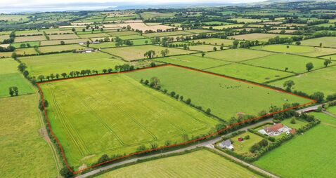 Quality 22 acre parcel for sale in East Cork