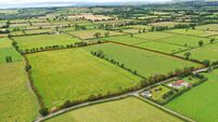 Quality 22 acre parcel for sale in East Cork