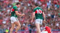 Jordan Flynn and Stephen Coen celebrate 11/7/2026