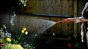 <p>A hosepipe ban kicks in for parts of the country from Thursday morning</p> <p>A hosepipe ban kicks in for parts of the country from Thursday morning</p>