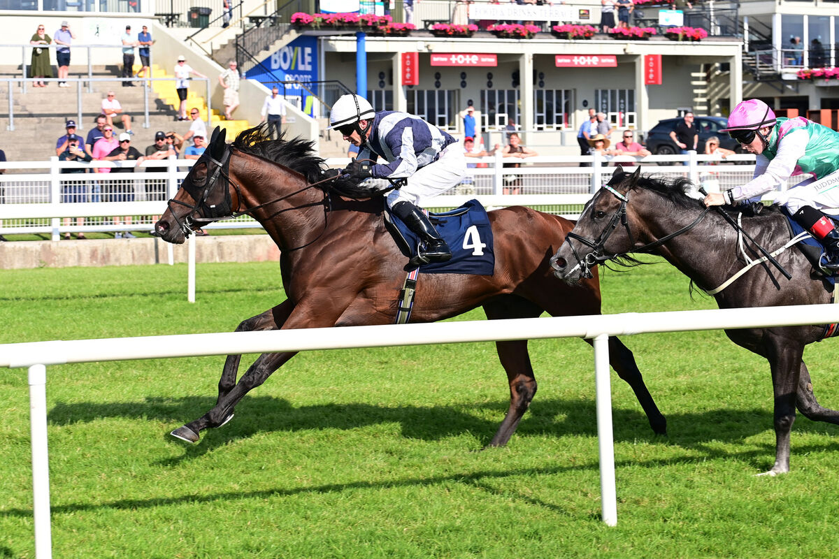 Straight Up and Wayne Lordan won The Irish Stallion Farms EBF Race for trainer Aidan O'Brien. Pic: Healy Racing Straight Up and Wayne Lordan won The Irish Stallion Farms EBF Race for trainer Aidan O'Brien. Pic: Healy Racing