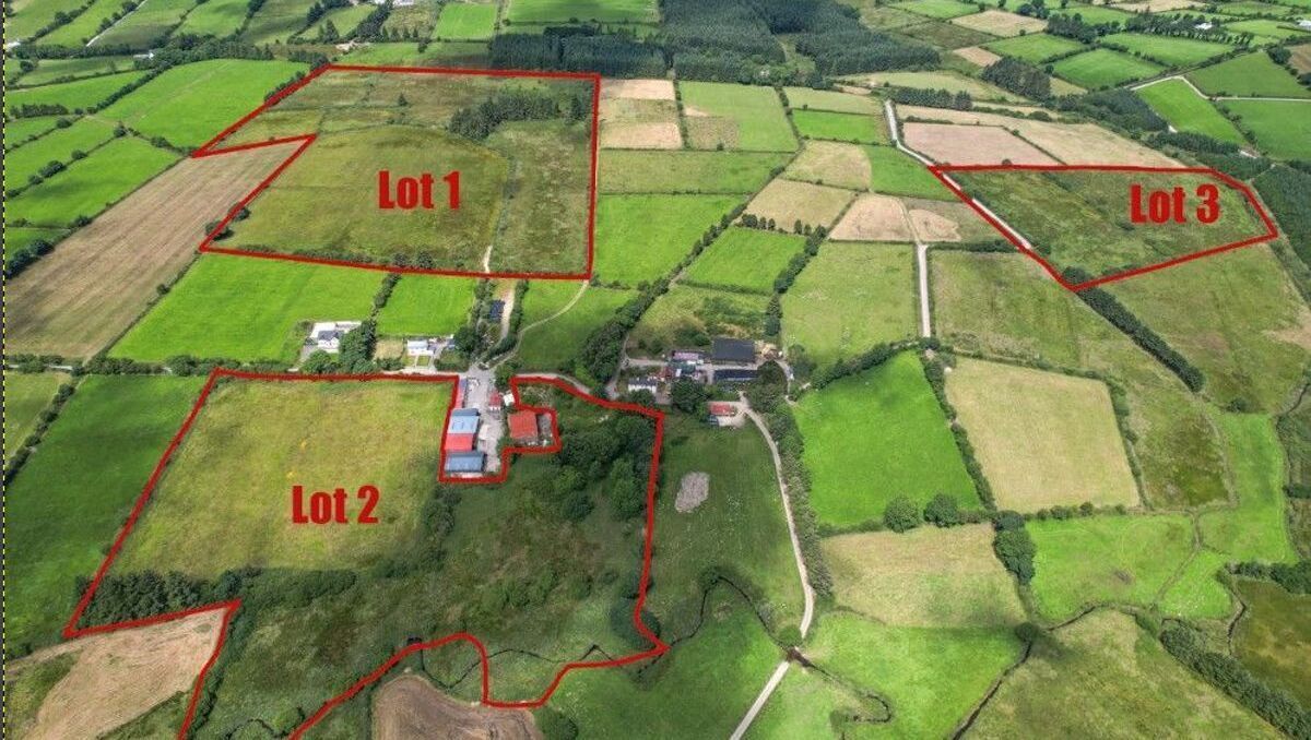 47ac North Cork farm offers lots of value