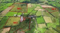47ac North Cork farm offers lots of value