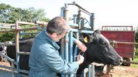 Irish exhibitors shine at global cheese and dairy awards