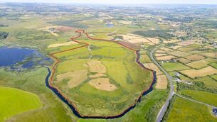 <p>Marked aerial view of the 99-acre farm for auction at Drumcullan, Inagh, Co. Clare. default</p> <p>Marked aerial view of the 99-acre farm for auction at Drumcullan, Inagh, Co. Clare. default</p>