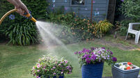 ieExplains: What is a hosepipe ban and how much are the fines for breaching it?