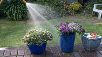 ieExplains: What is a hosepipe ban and how much are the fines for breaching it?
