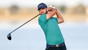 <p>NICE ROUND: David Howard in action. Pic: ©INPHO/Laszlo Geczo</p>