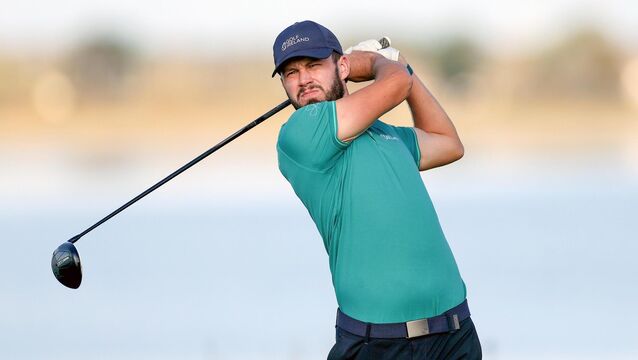 <p>NICE ROUND: David Howard in action. Pic: ©INPHO/Laszlo Geczo</p>