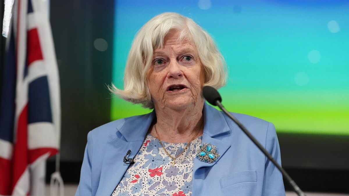 Ann Widdecombe killed in ‘targeted attack’, counter-terror police say