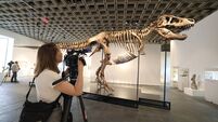 US-AUCTION-SOTHEBYS-DINOSAUR-FOSSIL