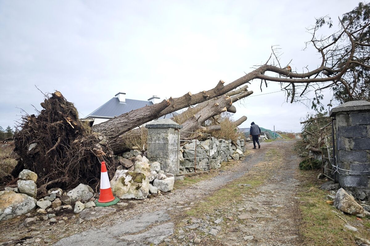 A property owner from outside Costello in Connemara takes a break from cutting up trees which just missed his house during the night of Storm Eowyn last year. File photo: Eamonn Farrell / © RollingNews.ie A property owner from outside Costello in Connemara takes a break from cutting up trees which just missed his house during the night of Storm Eowyn last year. File photo: Eamonn Farrell / © RollingNews.ie