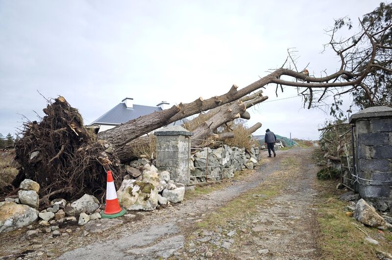A property owner from outside Costello in Connemara takes a break from cutting up trees which just missed his house during the night of Storm Eowyn last year. File photo: Eamonn Farrell / © RollingNews.ie A property owner from outside Costello in Connemara takes a break from cutting up trees which just missed his house during the night of Storm Eowyn last year. File photo: Eamonn Farrell / © RollingNews.ie