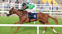 Hometown boy Oisín Murphy shows class with Killarney double