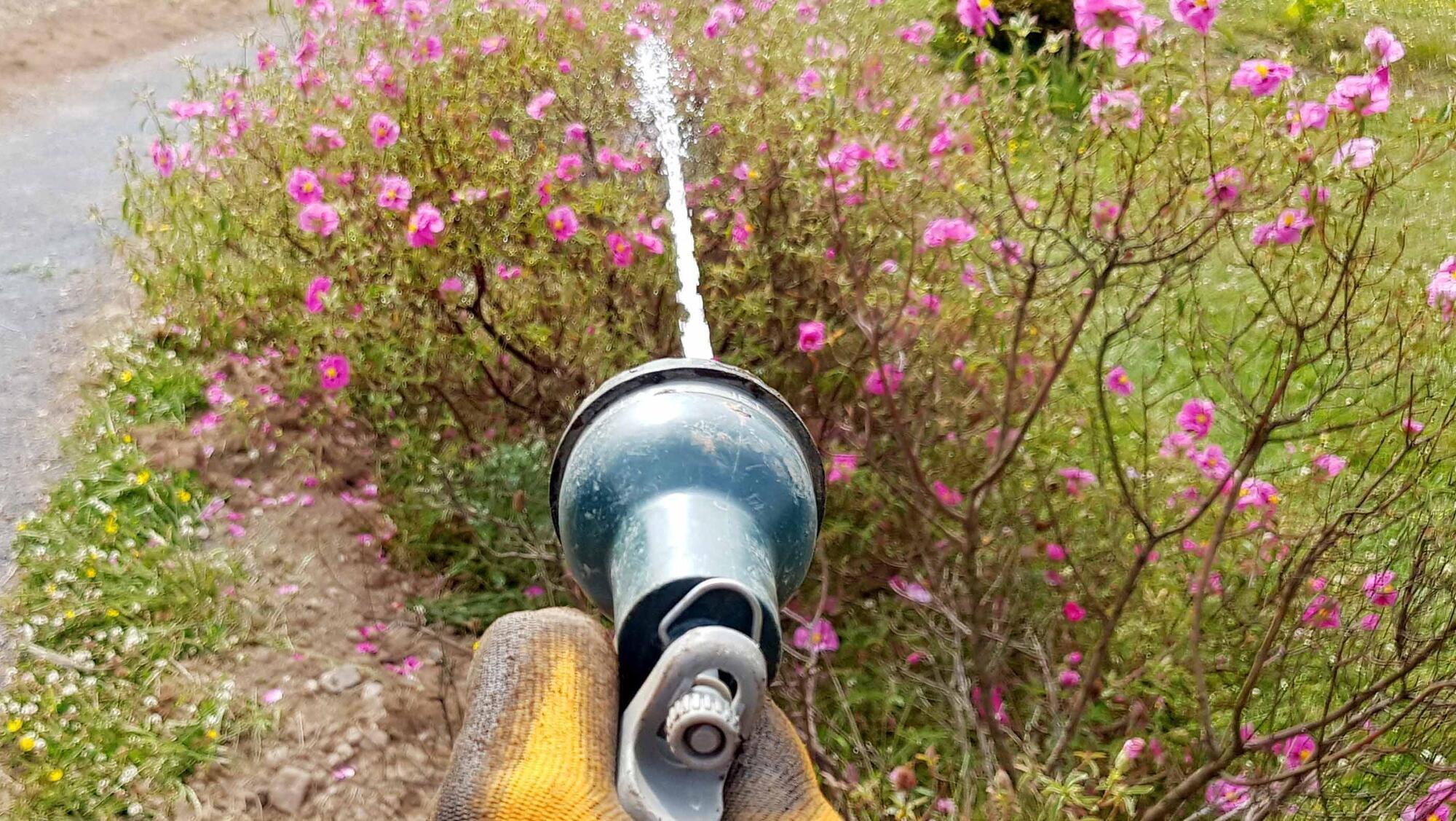 Uisce Éireann to enforce water conservation order for certain areas from midnight on Thursday until August 26.