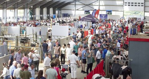 IHFA open day: A showcase of excellence at Cedarmore