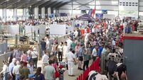 IHFA open day: A showcase of excellence at Cedarmore