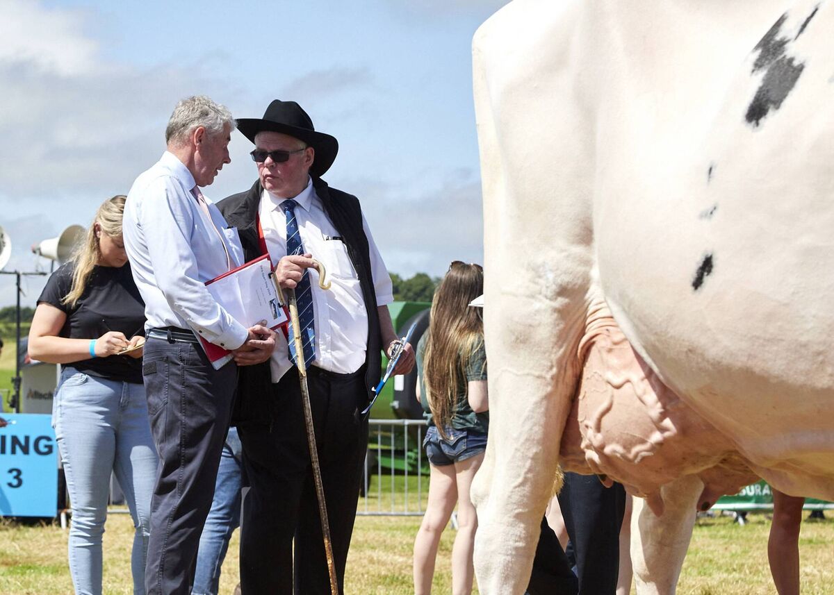 Master judges Victor Jackson and David Boyd in the ring. Picture: Maria Kelly Master judges Victor Jackson and David Boyd in the ring. Picture: Maria Kelly