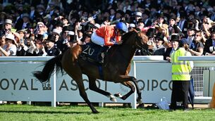 <p>HAT-TRICK HUNTING: Green Carrera &amp; Mikael Barzalona win the Sandringham Stakes. Pic: HEALY RACING.</p>