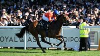 Green Carrera revving up to record hat-trick in Killarney