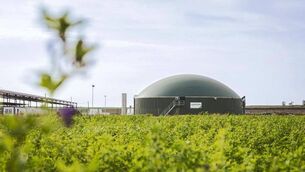 <p>Capital grants worth a total of €19m will begin to be issued to successful biomethane applicants.</p> <p>Capital grants worth a total of €19m will begin to be issued to successful biomethane applicants.</p>