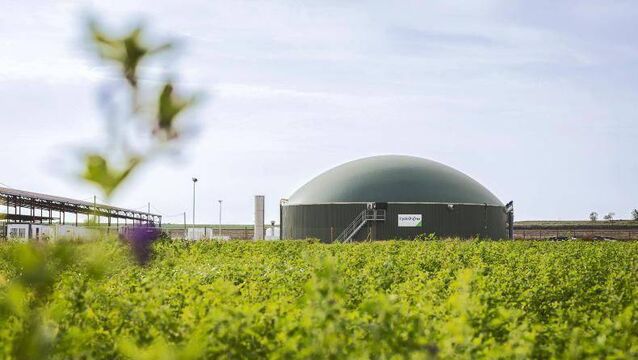 <p>Capital grants worth a total of €19m will begin to be issued to successful biomethane applicants.</p>