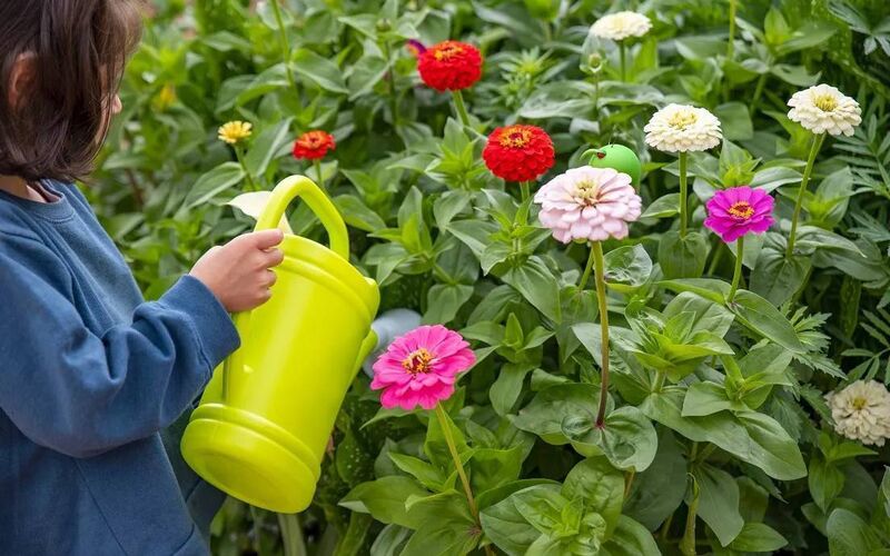 Be sure to monitor plants regularly for signs of disease and reducing reliance on pesticides through sustainable gardening practices can further support plant health.