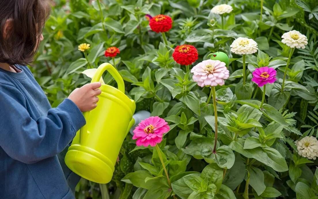 Be sure to monitor plants regularly for signs of disease and reducing reliance on pesticides through sustainable gardening practices can further support plant health. Be sure to monitor plants regularly for signs of disease and reducing reliance on pesticides through sustainable gardening practices can further support plant health.