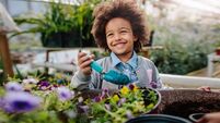 Plant Health starts with us: Simple actions that protect Ireland’s food, environment and future