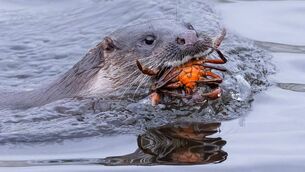 <p>Photographer Chris Martin's image 'A Bit of a Pinch' was chosen as the overall winner of the 2026 Love Your Coast Photography Competition, hosted by Clean Coasts. See the gallery of 50 shortlisted images. </p>