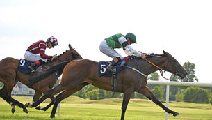 <p> AT A STRETCH: Meriden and Chris Hayes win for owners Patrick O'Brien and Charles Shanahan and trainer Denis Hogan.</p> <p> AT A STRETCH: Meriden and Chris Hayes win for owners Patrick O'Brien and Charles Shanahan and trainer Denis Hogan.</p>
