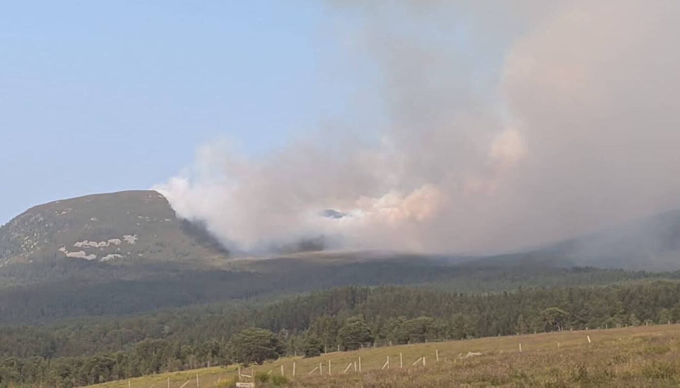 There have been no reports of any casualties. Picture: The Cairngorm Reindeer Herd via Facebook.