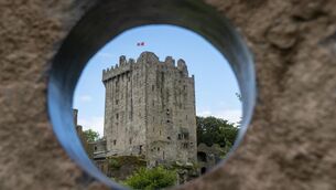 <p>Blarney Castle Estate also raised concerns about the scale of the plans</p> <p>Blarney Castle Estate also raised concerns about the scale of the plans</p>