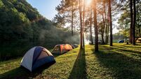 Adventures Camping and tent under the pine forest near water outdoor in morning and sunset at Pang-ung, pine forest park ,