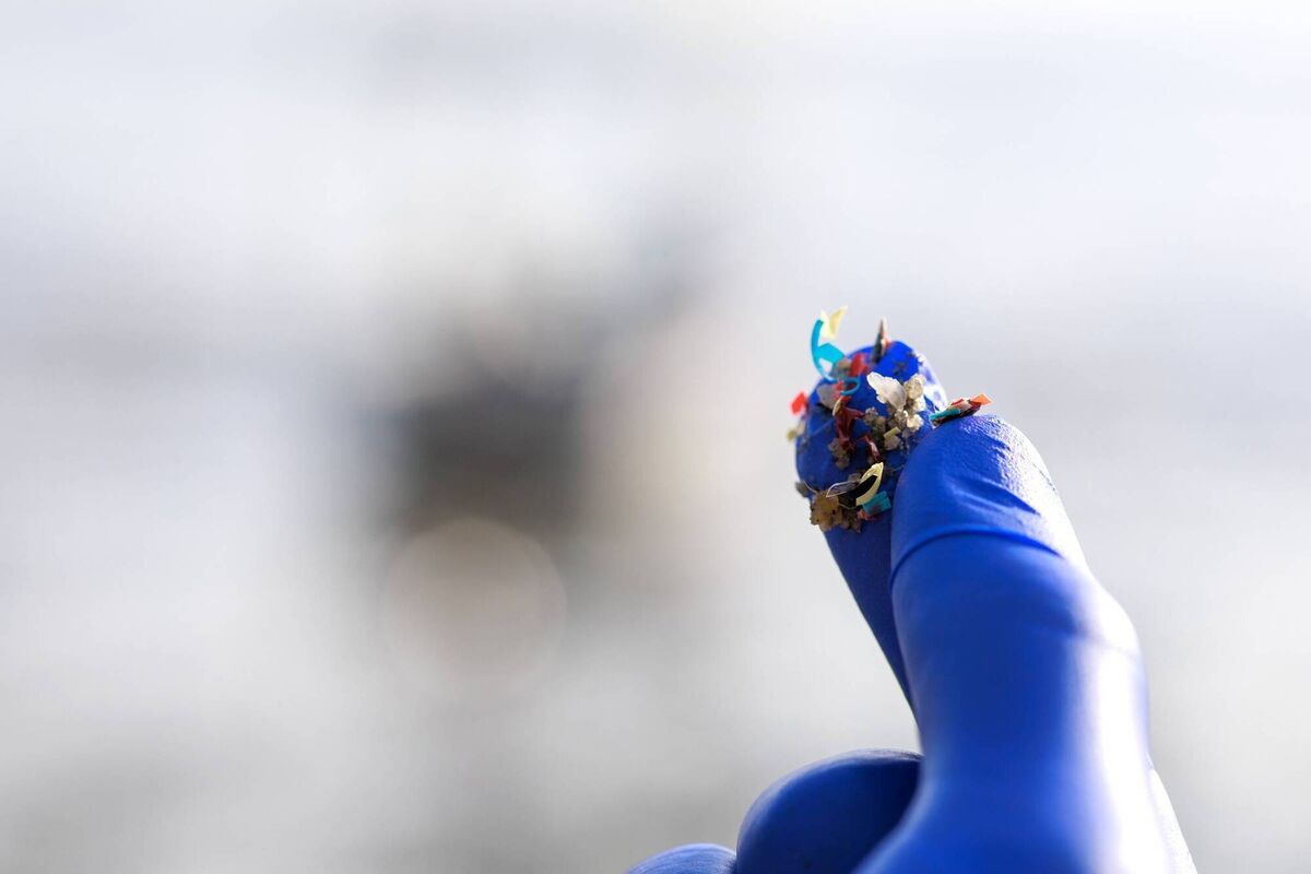 Microplastics have been detected in much of our everyday food. Picture: iStock Microplastics have been detected in much of our everyday food. Picture: iStock