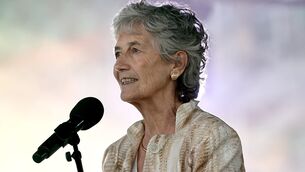<p>On Wednesday evening, the press release account of President Catherine Connolly fired out five notices within the space of 40 minutes, all alerting the press that the President had signed into law a raft of legislation.  Picture: INPHO/Tom Maher</p>