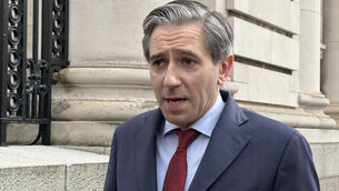 <p>Tanaiste Simon Harris cited a transition to the euro as a major benefit as it would reduce transaction costs for businesses and customers.</p> <p>Tanaiste Simon Harris cited a transition to the euro as a major benefit as it would reduce transaction costs for businesses and customers.</p>