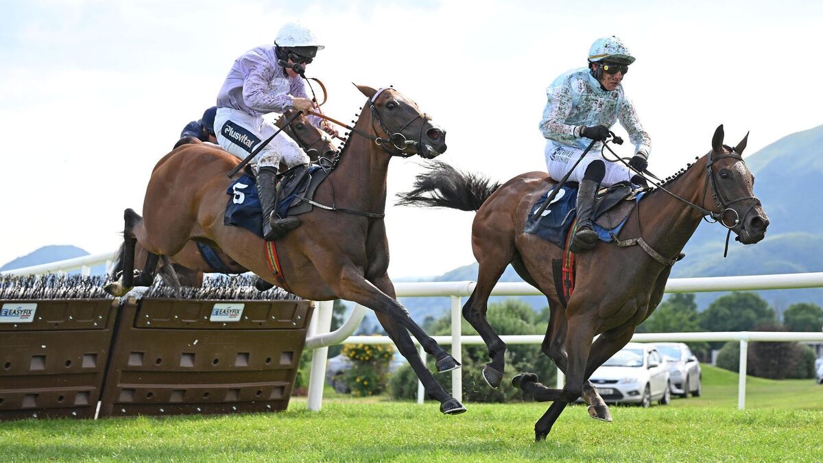 Run For Mahler shocks Murcia to claim Mares Hurdle at Killarney
