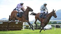 Run For Mahler shocks Murcia to claim Mares Hurdle at Killarney