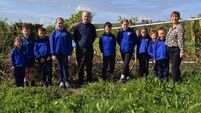 FDC Group supporting future generations with Biodiversity in Schools sponsorship 
