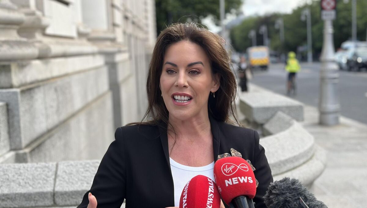 Health minister Jennifer Carroll MacNeill has appeared to be hands-on with issues like ED overcrowding and the National Children's Hospital. Health minister Jennifer Carroll MacNeill has appeared to be hands-on with issues like ED overcrowding and the National Children's Hospital.