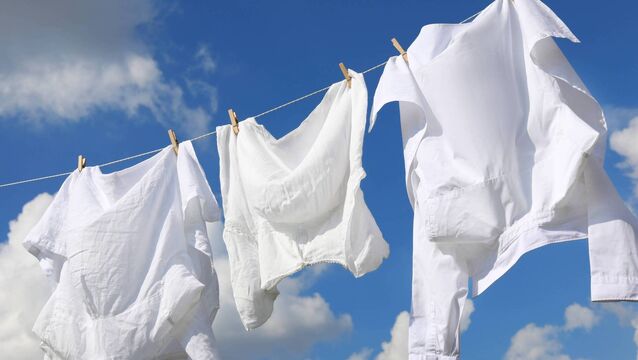 <p>From dried-on old blood stains to natural marks like grass and food, there are ways to return an item to as good as new, often with minimal work</p>