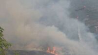 'Very unpredictable': Killarney National Park wildfire flares up again as local roads closed