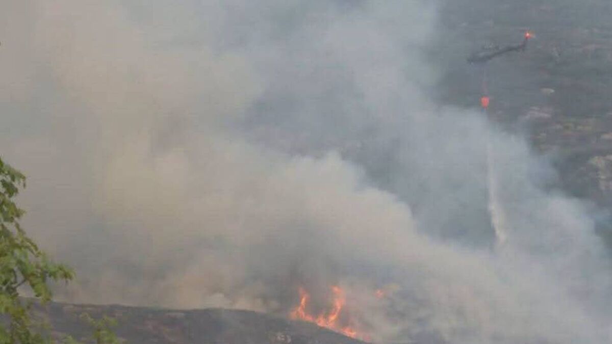 'Very unpredictable': Killarney National Park wildfire flares up again as local roads closed