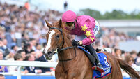 Thundering On can return to winning ways at the Curragh