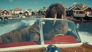 <p>A still from an ad for Virgin Media TV featuring a walrus piloting a speedboat</p> <p>A still from an ad for Virgin Media TV featuring a walrus piloting a speedboat</p>